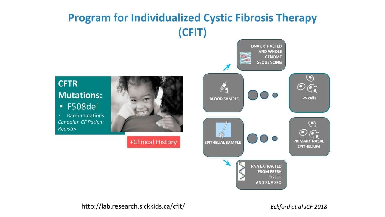 Studying Cystic Fibrosis Using Primary Human Nasal Epithelial Cells