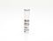 StemSpan™ CC100