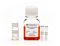 STEMdiff™ Definitive Endoderm Kit (TeSR™-E8™ Optimized)