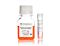MesenCult™-ACF Chondrogenic Differentiation Kit
