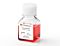 10% Bovine Serum Albumin in Iscove's MDM