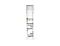 Anti-Acetylated Alpha-Tubulin (Acetyl K40) Antibody, Clone TEU318