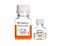 STEMdiff™ Midbrain Neuron Maturation Kit