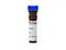Anti-Mouse IFN-gamma Antibody, Clone XMG1.2