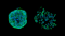 Drug Screening and Phenotypic Analysis in a Microwell-based 3D Cell Culture System