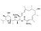 Bafilomycin A1