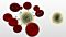 Isolate Cells from Whole Blood without Columns or Magnets: RosetteSep™ Immunodensity Cell Separation