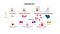 MesenCult™ for Mesenchymal Stromal Cell Derivation, Culture & Differentiation