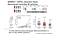 Using hiPSCs to Study Genetic Variants Linked to Schizophrenia