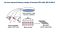 Whole Exome Sequencing Reveals Selective Pressures and Dominant Negative Mutations in hPSC Cultures