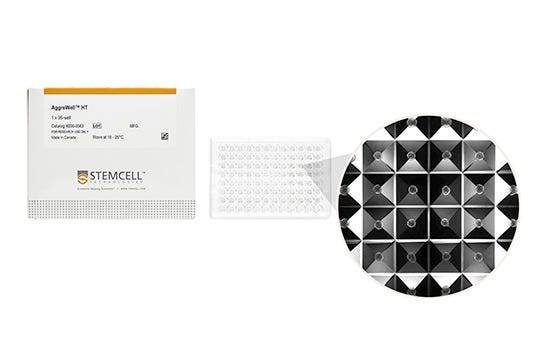 AggreWell™HT microwell plate with a microscopy view to the spheroids or embryoid bodies formed within the microwells of culture plate.