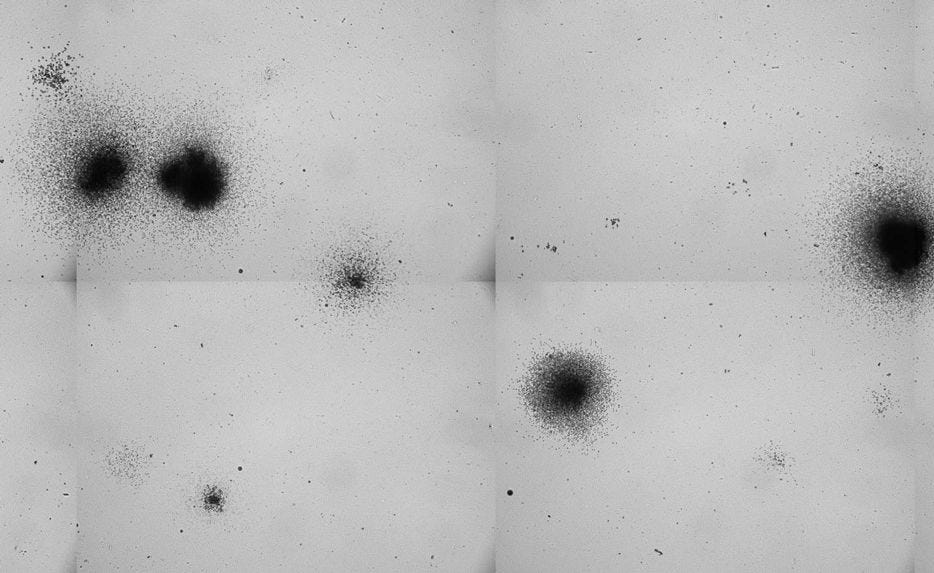 Mouse Bone Marrow Colonies Plated in MethoCult™ GF M3434, Imaged on STEMvision™ Instrument