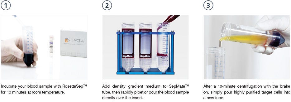 Combining SepMate™ and RosetteSep™ to isolate cells from whole blood