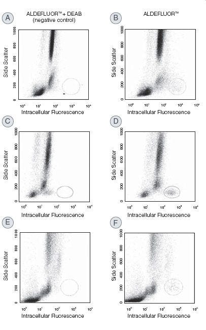 Identification of ALDHbr SSC LO cells from human hematopoietic samples