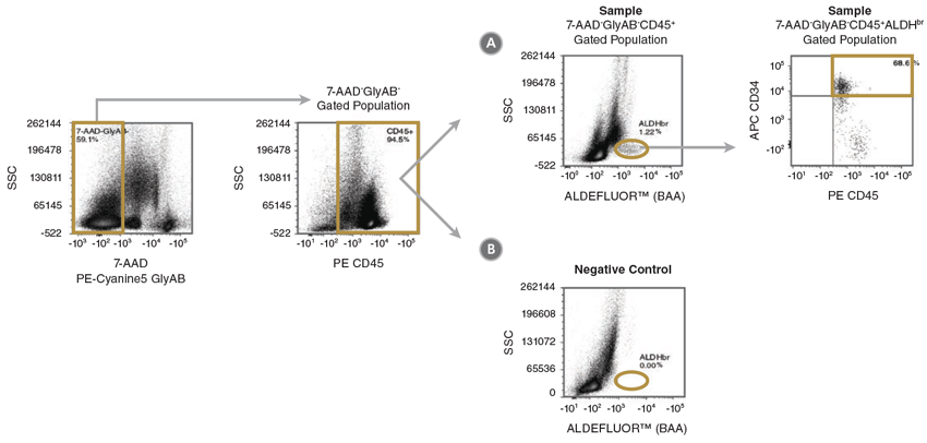 Gating Strategy to Identify 7-AAD-GlyAB-CD45+ALDHbrCD34+ Cells