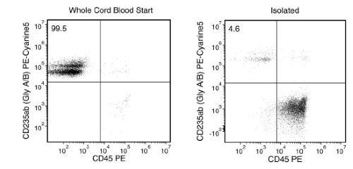 RBC Depletion of Whole Cord Blood Sample Using ErythroClear™