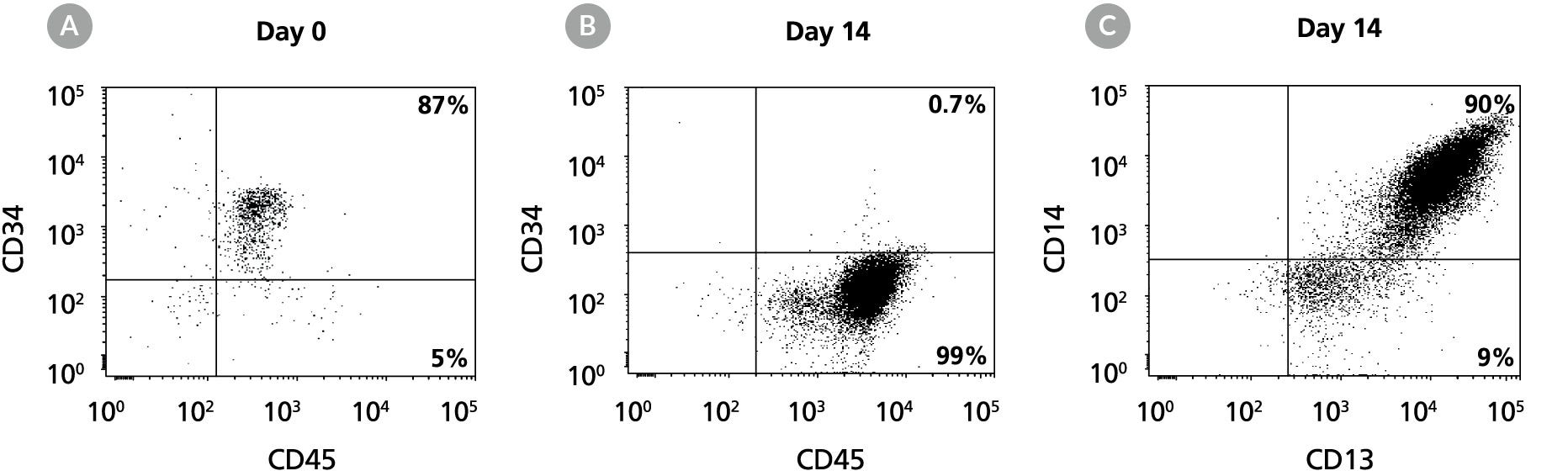 FACS plot of monocytes in StemSpan SFEM II