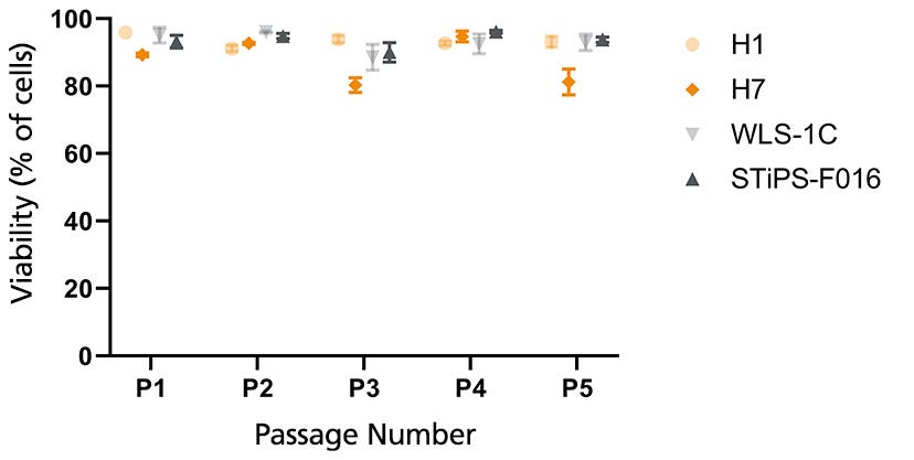 Viability of human pluripotent stem cells (ESC and iPSC) cells in TeSR™-E8™3D suspension culture over time