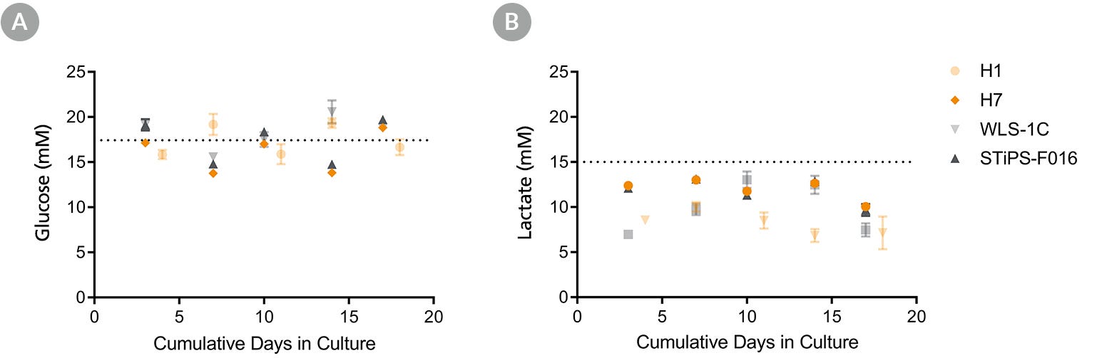 Glucose and lactate levels (mM) in human ES and iPS cultures over time in TeSR™-E8™3D