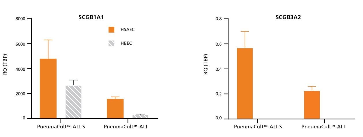 Relative expression of SCGB1A1 and SCGB3A2 was higher in HSAEC cultured in PneumaCult™-ALI-S compared to PneumaCult™-ALI.