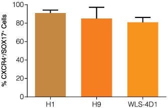 Quantitative Analysis of Definitive Endoderm hES and iPS-Derived Using STEMdiff™ Definitive Endoderm