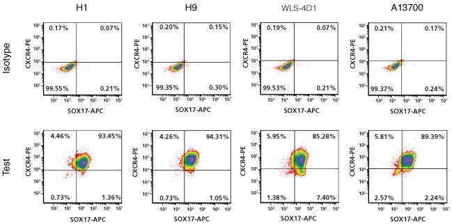 Efficient definitive endoderm differentiation in human ES and iPS cells