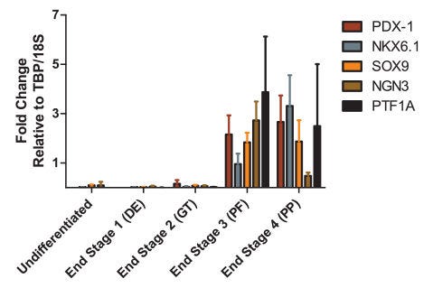 Gene Expression Profile is Indicative of Transition to Pancreatic Progenitor Cells