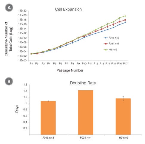 Cell Expansion and Doubling Rate of MPCs Derived from Human ES (H9) and iPS (STiPS-F016 and -F031) Cells in MesenCult™-ACF Medium