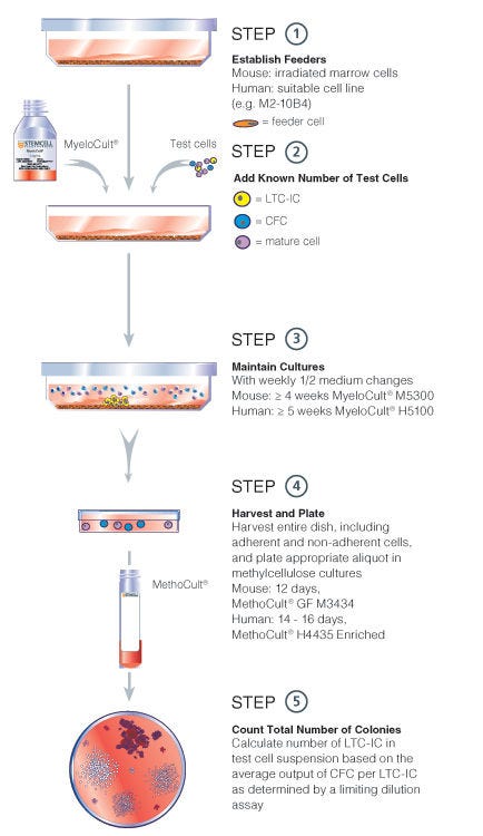 Bulk culture LTC-IC assay