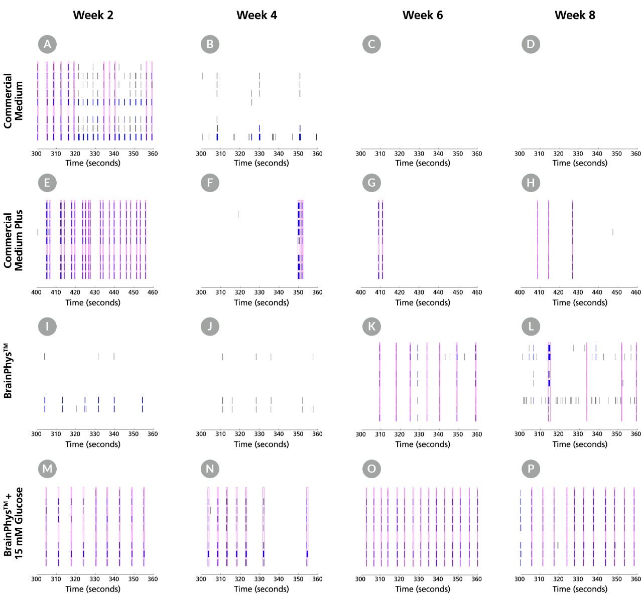 Raster plots showing activity of neurons cultured in BrainPhys™ and other commercial media