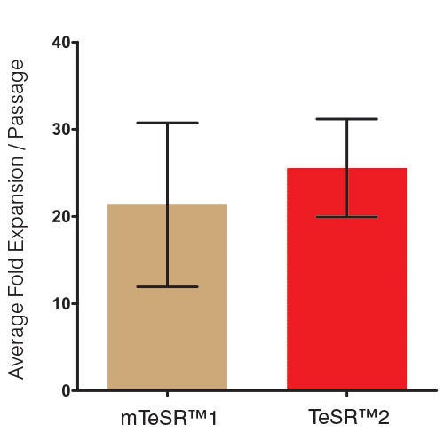 Fold and Cumulative Aggregate Expansion in TeSR™2