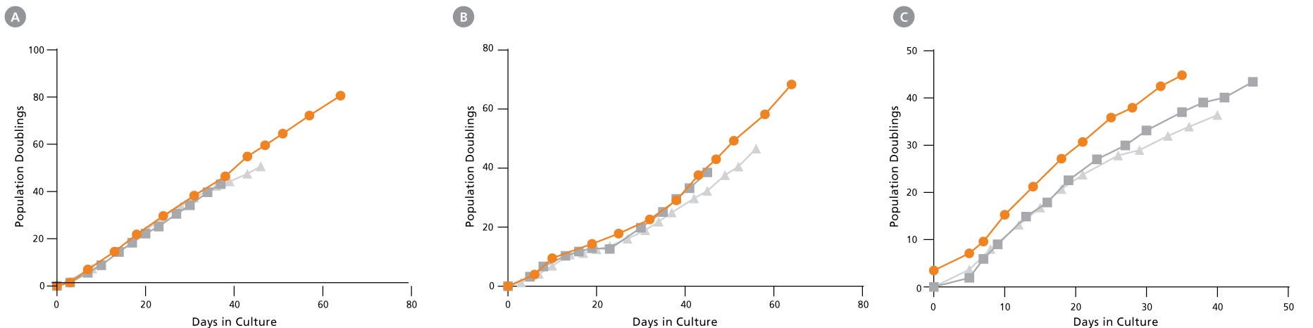 EpiCult™ Plus Enables the Long-Term Growth of Epithelial Stem Cells From Prostate and Mammary Tissues