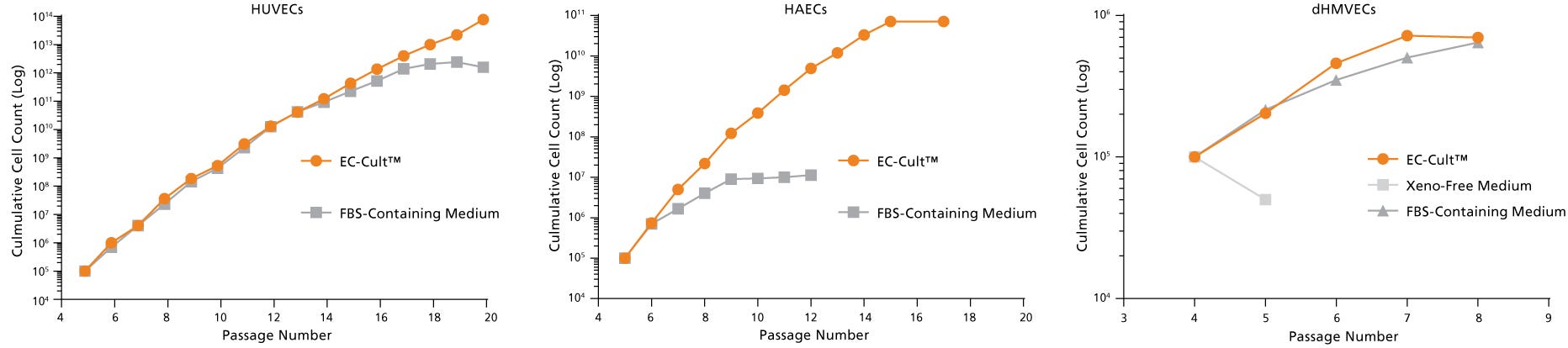 EC-Cult™ Medium Can Be Used to Expand Different Endothelial Cell Types