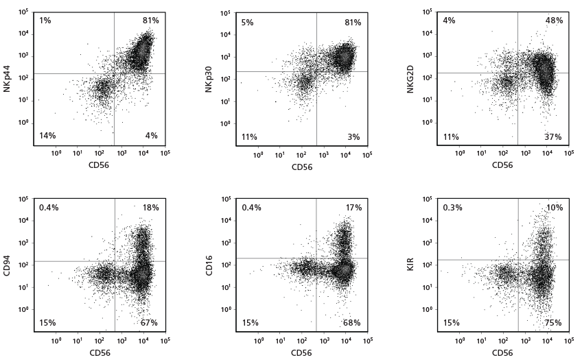 Flow cytometry plots showing cell surface marker expression on CD56+ NK cells after culture with the StemSpan™ NK Cell Generation Kit