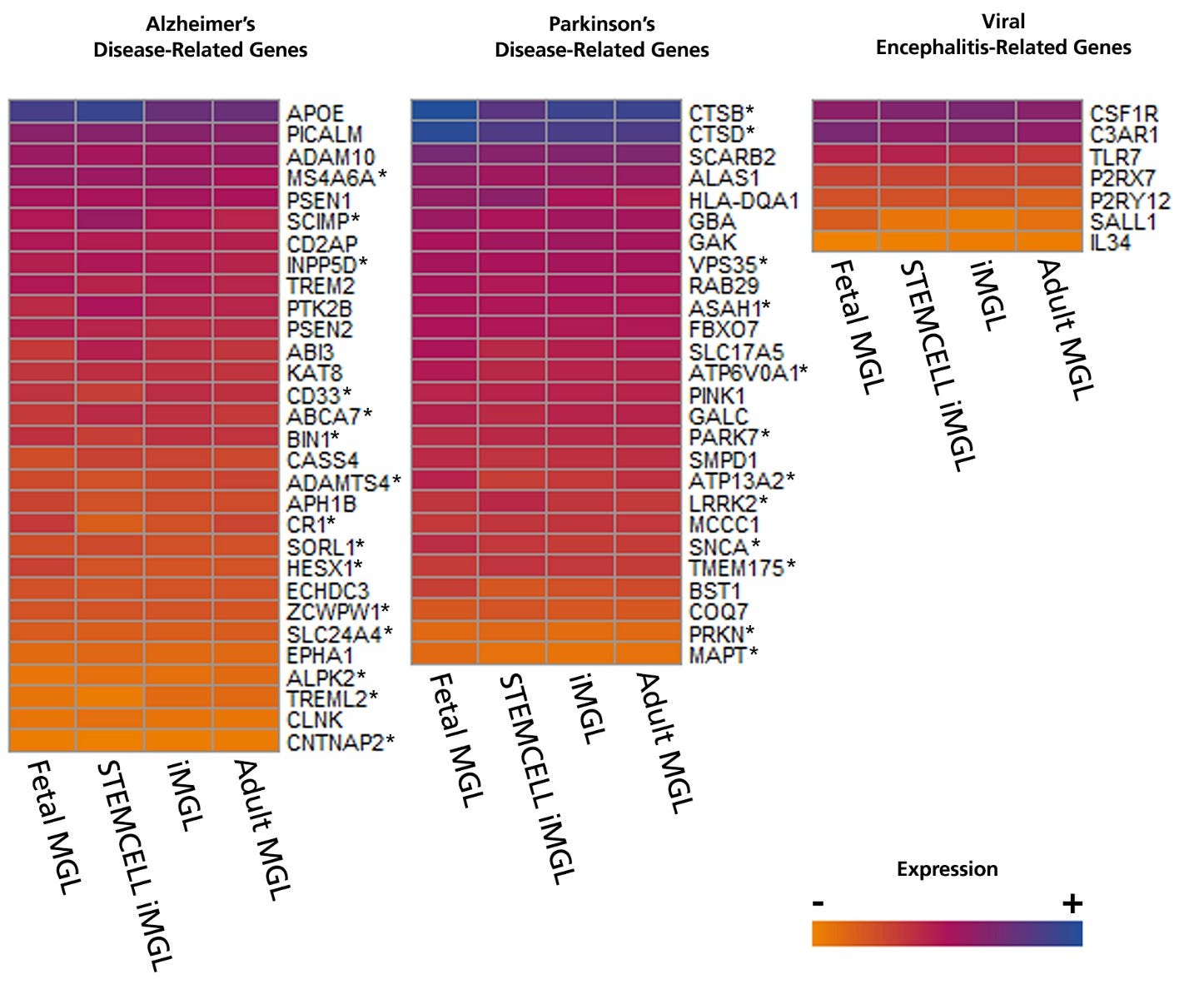 Bulk RNA-seq heatmap showing that STEMdiff™ Microglia express disease-relevant genes similar to those from popular protocols.