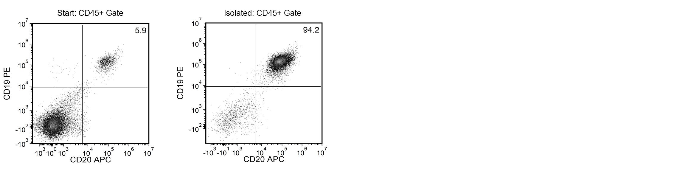 Using the EasySep™ Release Human APC Positive Selection Kit, the frequencies of CD45+ cells in the starting and isolated fractions are 5.9% and 94.2%, respectively.