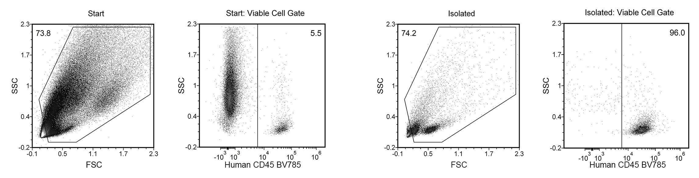 Using the EasySep™ Release Human CD45 Positive Selection Kit, the CD45+ TIL purities of the start and final isolated fractions are 5.5% and 96.0%, respectively.