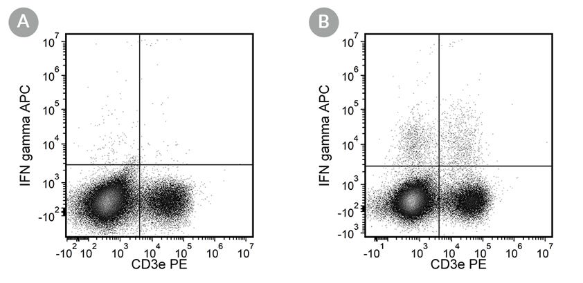 Figure showing flow cytometry analysis of anti-mouse IFN-gamma antibody Clone XMG1.2, APC, and anti-mouse CD3e antibody, clone 145-2C11, PE.