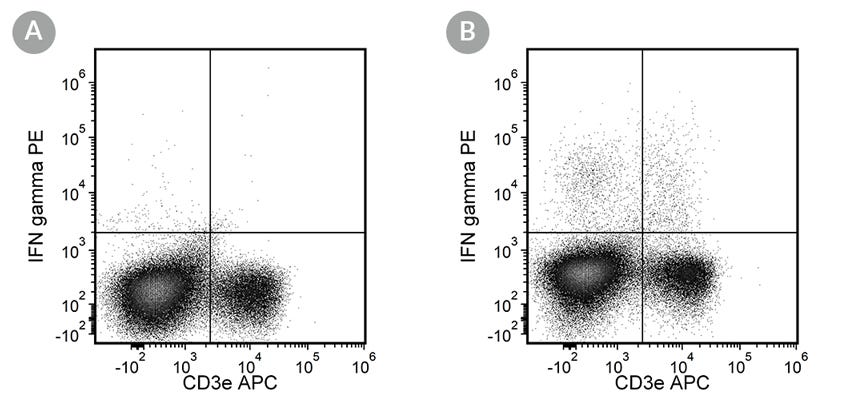 Figure showing flow cytometry analysis of anti-mouse IFN-gamma antibody Clone XMG1.2, PE, and anti-mouse CD3e antibody, clone 145-2C11, APC.