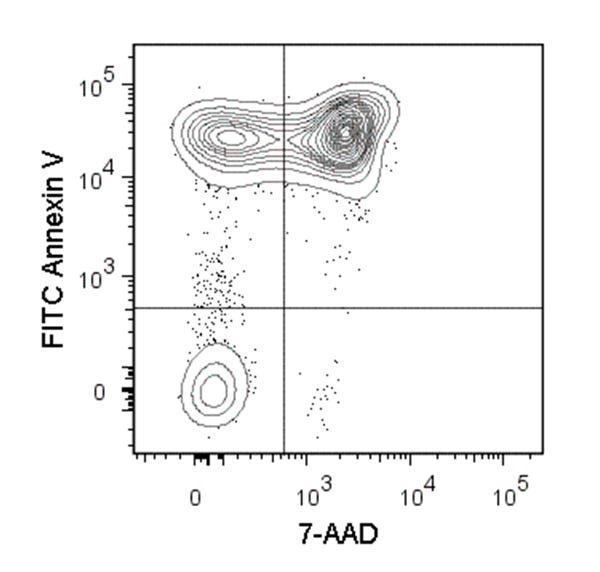 Figure showing flow cytometry analysis of C57BL/6 mouse thymocytes incubated at 37°C with 1 µM dexamethasone overnight. Cells were harvested and labeled with FITC-conjugated Annexin V and 7-AAD.