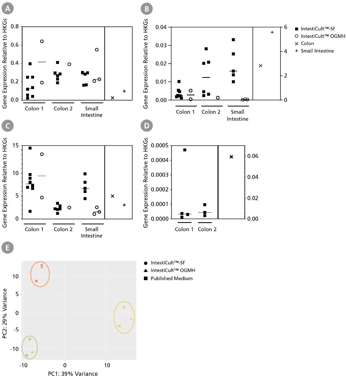 Organoids Grown in IntestiCult™-SF Display Similar Genetic Expression Profiles to Those Grown in IntestiCult™ OGMH