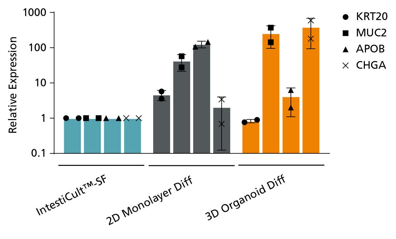 Organoids Grown in IntestiCult™-SF can be Further Differentiated using IntestiCult™ Organoid Differentiation Medium