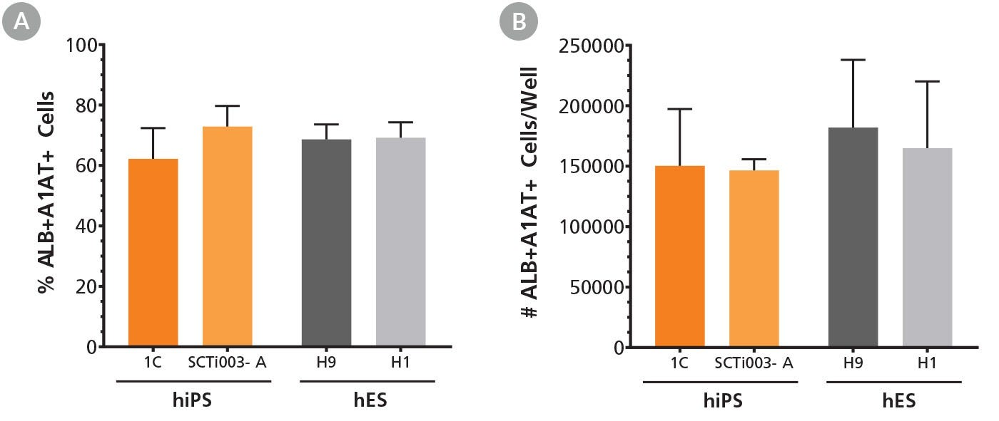 STEMdiff™ Hepatocyte Kit Supports Efficient Differentiation of hES and hiPS Cells to Hepatocyte-Like Cells