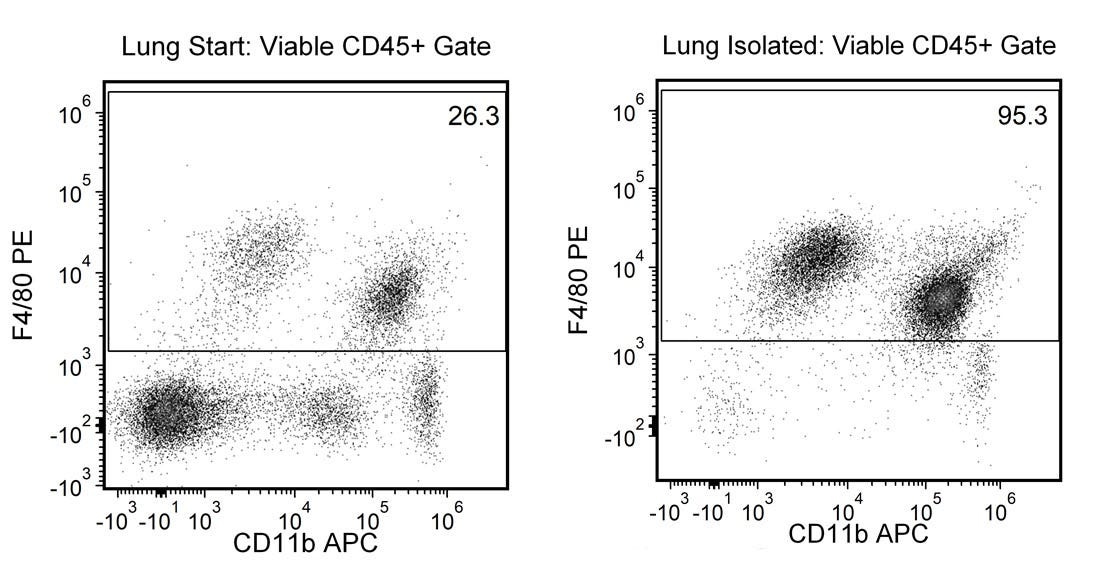 FACS plot showing cell populations from lung tissue pre- and post-cell isolation using the EasySep™ Mouse F4/80 Positive Selection Kit