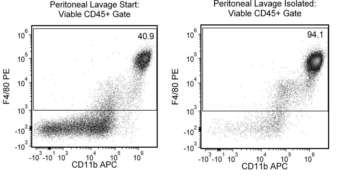 FACS plot showing cell populations from peritoneal lavage pre- and post-cell isolation using the EasySep™ Mouse F4/80 Positive Selection Kit