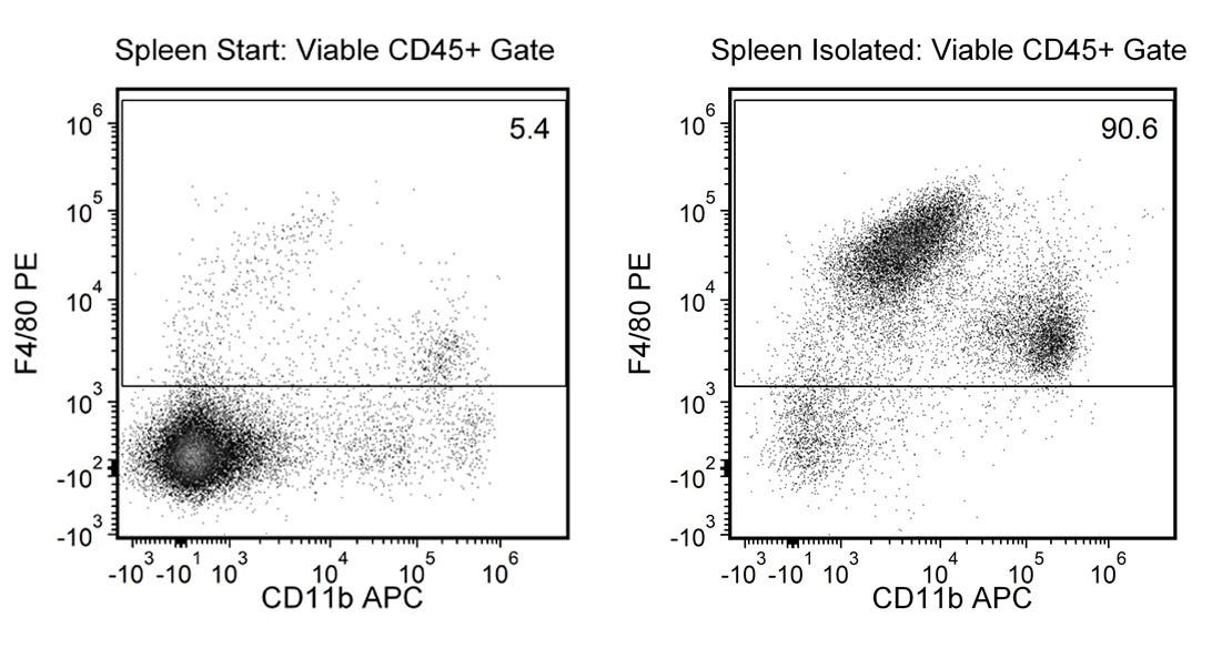 FACS plot showing cell populations from spleen pre- and post-cell isolation using the EasySep™ Mouse F4/80 Positive Selection Kit