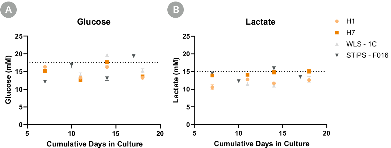 Metabolic Profile of hPSCs During Culture in TeSR™-AOF 3D