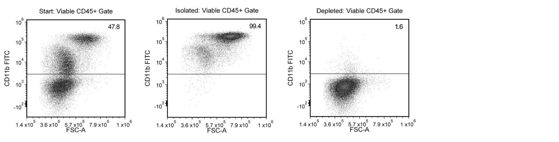 Typical EasySep™ Human CD11b+ Positive Selection Profile