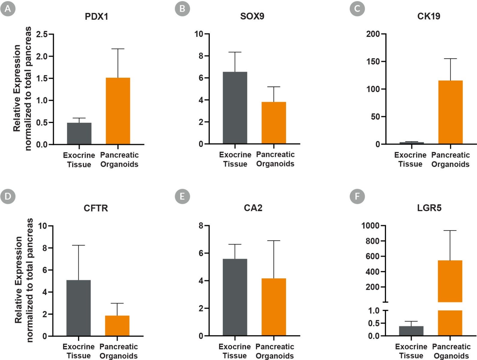 Pancreatic Duct Organoids Cultured With PancreaCult™ Human Show Pancreatic Marker Expression Levels Similar to Exocrine Tissue