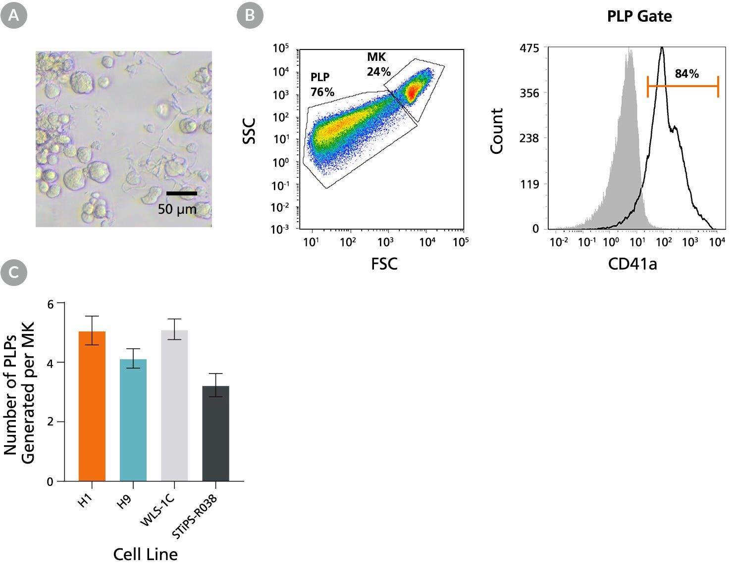 hPSC-Derived Megakaryocytes Generated Using STEMdiff™ Megakaryocyte Kit Yield Platelet-Like Particles